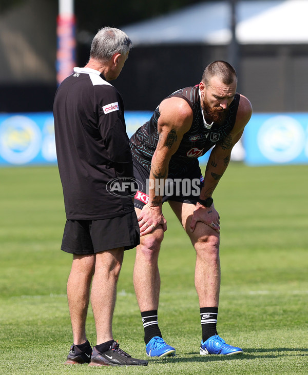 AFL 2024 Training - Port Adelaide 120924 - A-53977851