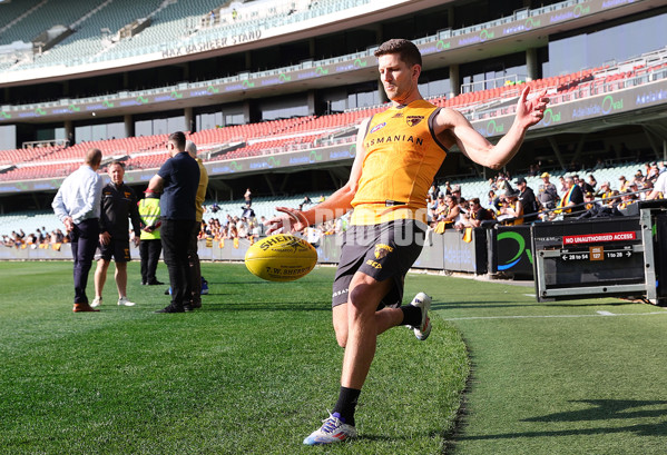 AFL 2024 Training - Hawthorn 120924 - A-53980482