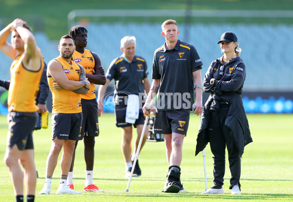 AFL 2024 Training - Hawthorn 120924 - A-53980483