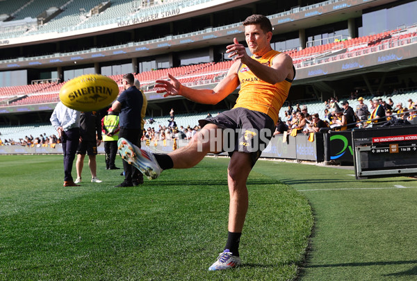 AFL 2024 Training - Hawthorn 120924 - A-53980484