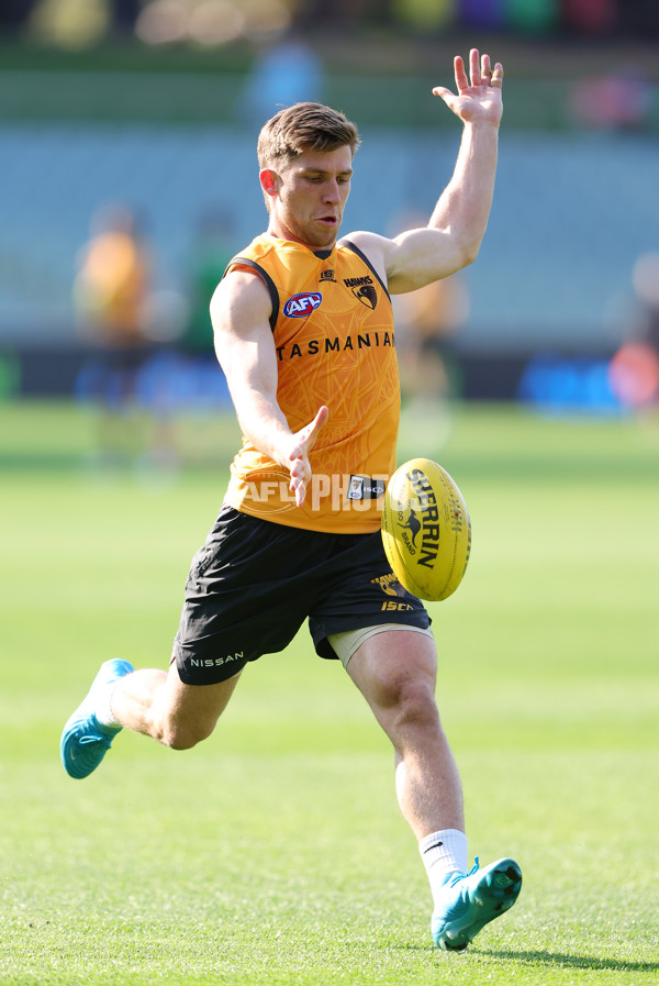 AFL 2024 Training - Hawthorn 120924 - A-53980486