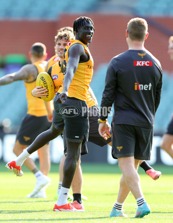 AFL 2024 Training - Hawthorn 120924 - A-53980497