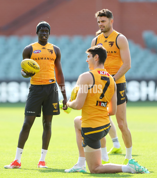 AFL 2024 Training - Hawthorn 120924 - A-53980868