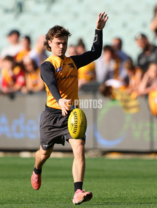 AFL 2024 Training - Hawthorn 120924 - A-53980875