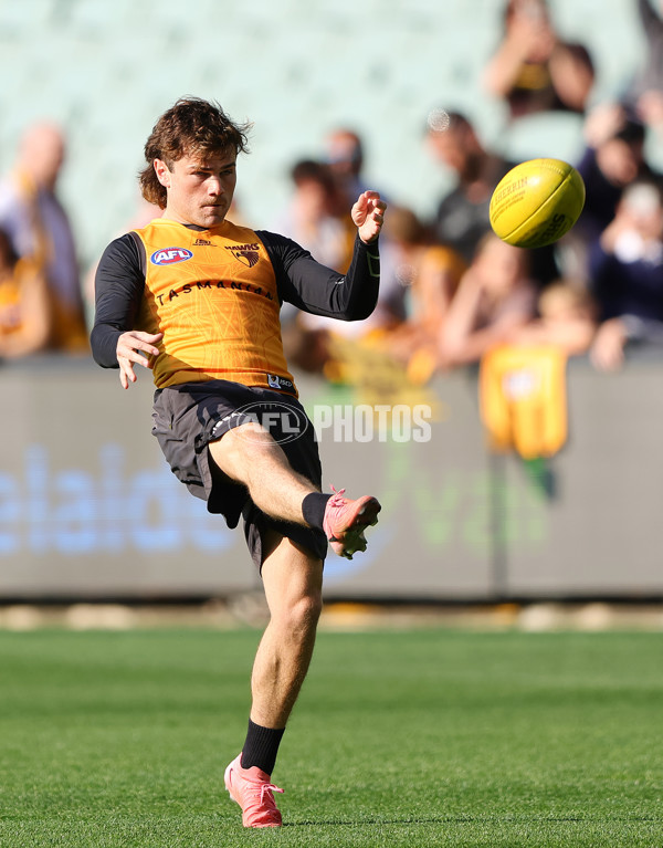 AFL 2024 Training - Hawthorn 120924 - A-53980876