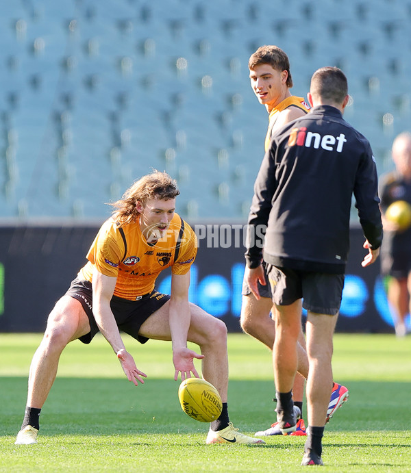 AFL 2024 Training - Hawthorn 120924 - A-53980881