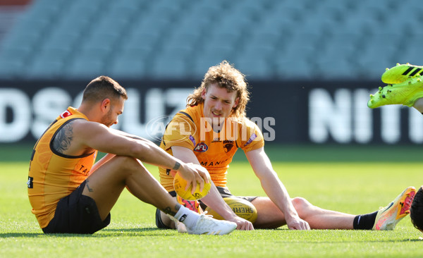 AFL 2024 Training - Hawthorn 120924 - A-53980889