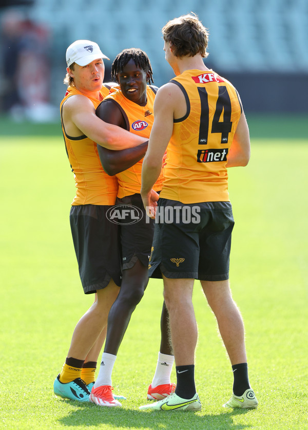 AFL 2024 Training - Hawthorn 120924 - A-53980894