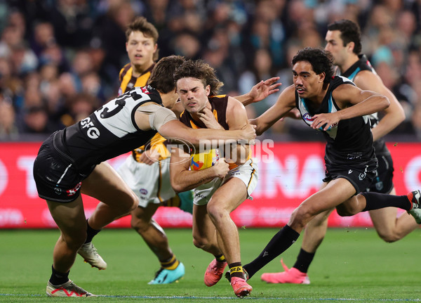 AFL 2024 Second Semi Final - Port Adelaide v Hawthorn - A-53998580