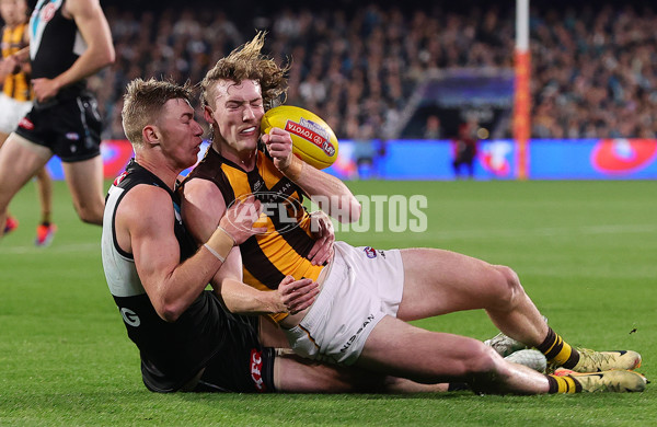 AFL 2024 Second Semi Final - Port Adelaide v Hawthorn - A-53998636