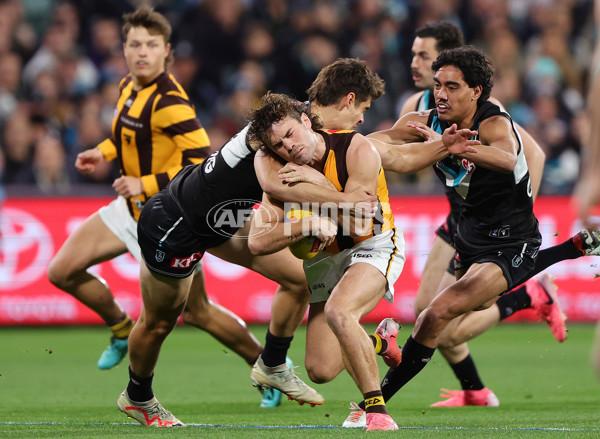 AFL Second Semi Final - Port Adelaide v Hawthorn - A-53999047