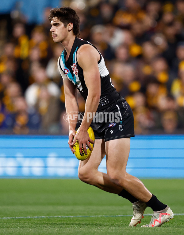 AFL 2024 Second Semi Final - Port Adelaide v Hawthorn - A-53999131