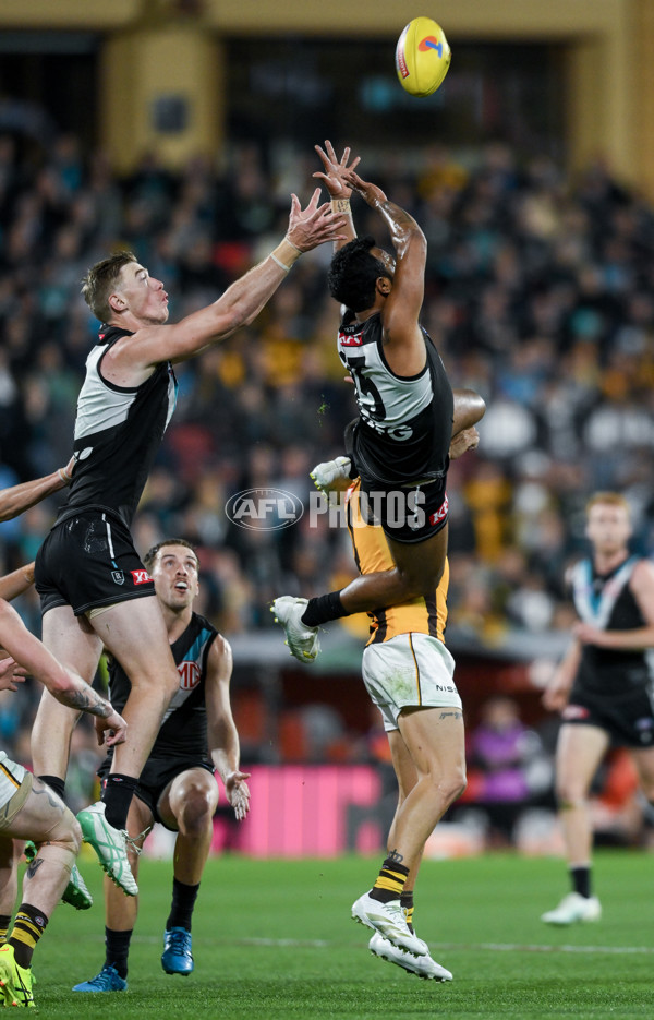 AFL 2024 Second Semi Final - Port Adelaide v Hawthorn - A-54000989