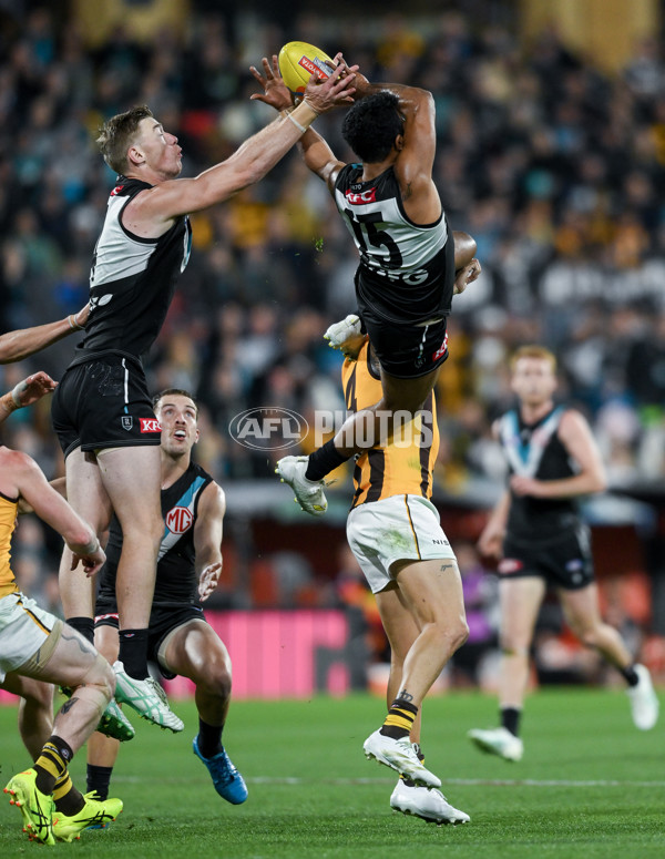 AFL 2024 Second Semi Final - Port Adelaide v Hawthorn - A-54000994