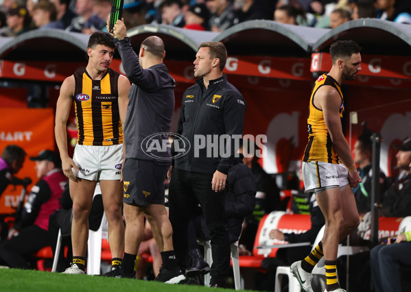 AFL 2024 Second Semi Final - Port Adelaide v Hawthorn - A-54000999