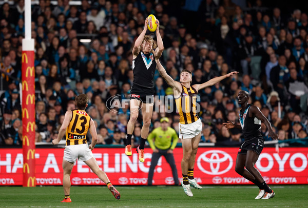 AFL 2024 Second Semi Final - Port Adelaide v Hawthorn - A-54001005