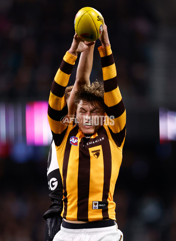 AFL 2024 Second Semi Final - Port Adelaide v Hawthorn - A-54001006