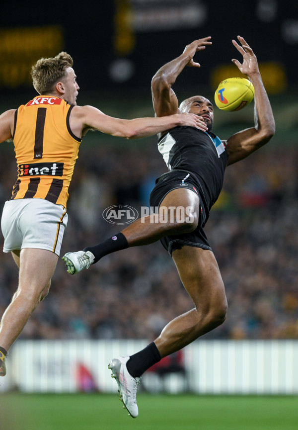 AFL 2024 Second Semi Final - Port Adelaide v Hawthorn - A-54001022