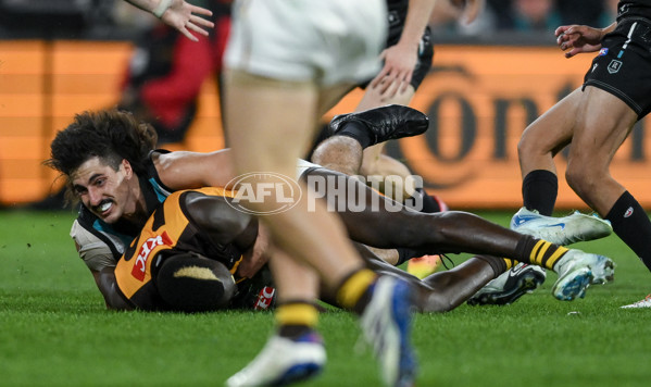 AFL 2024 Second Semi Final - Port Adelaide v Hawthorn - A-54001059