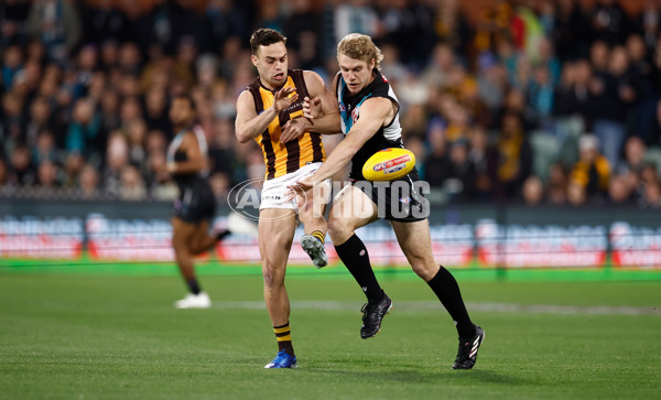 AFL 2024 Second Semi Final - Port Adelaide v Hawthorn - A-54001481