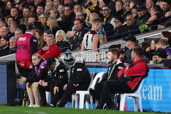 AFL 2024 Second Semi Final - Port Adelaide v Hawthorn - A-54001492