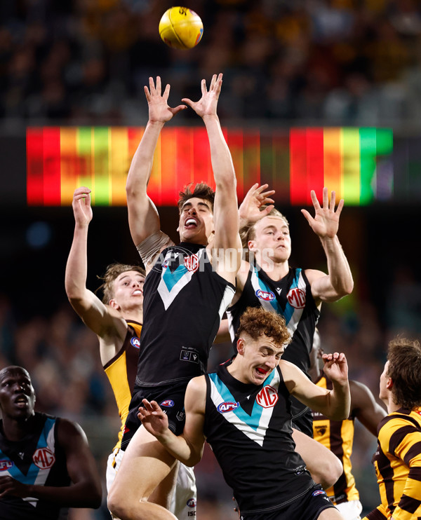 AFL 2024 Second Semi Final - Port Adelaide v Hawthorn - A-54001495