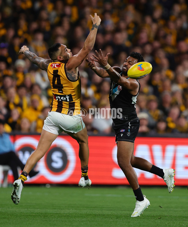 AFL 2024 Second Semi Final - Port Adelaide v Hawthorn - A-54001511