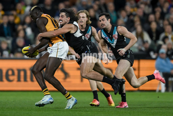 AFL 2024 Second Semi Final - Port Adelaide v Hawthorn - A-54001523