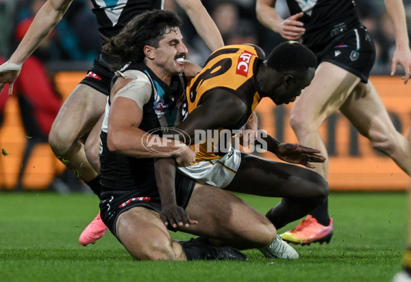 AFL 2024 Second Semi Final - Port Adelaide v Hawthorn - A-54001525