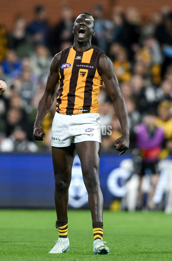 AFL 2024 Second Semi Final - Port Adelaide v Hawthorn - A-54003387