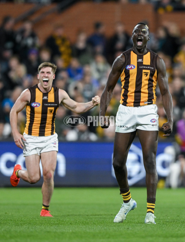 AFL 2024 Second Semi Final - Port Adelaide v Hawthorn - A-54003389