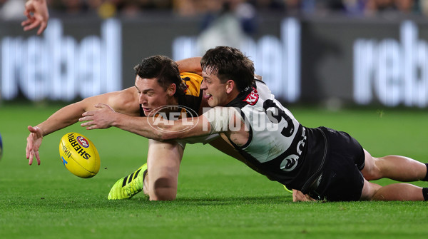 AFL 2024 Second Semi Final - Port Adelaide v Hawthorn - A-54003395