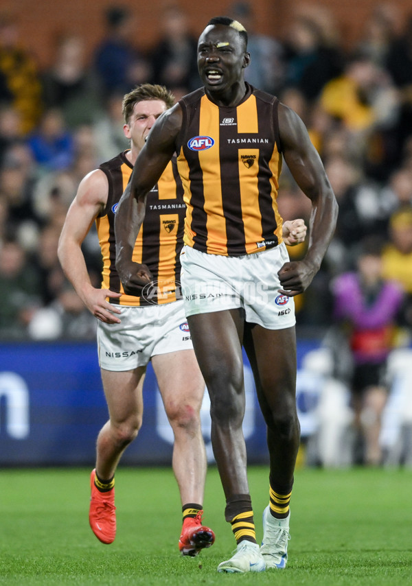 AFL 2024 Second Semi Final - Port Adelaide v Hawthorn - A-54003396