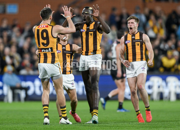 AFL 2024 Second Semi Final - Port Adelaide v Hawthorn - A-54003399