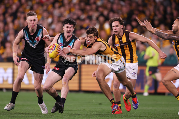 AFL 2024 Second Semi Final - Port Adelaide v Hawthorn - A-54003409