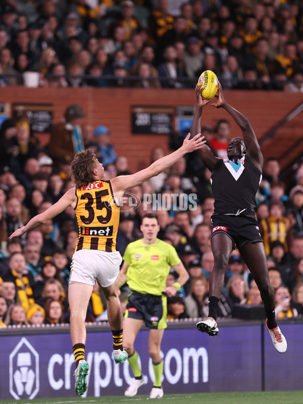 AFL 2024 Second Semi Final - Port Adelaide v Hawthorn - A-54003410