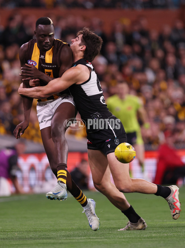 AFL 2024 Second Semi Final - Port Adelaide v Hawthorn - A-54003411