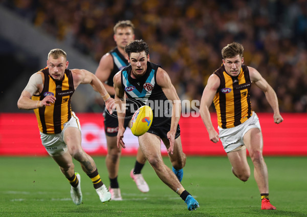 AFL 2024 Second Semi Final - Port Adelaide v Hawthorn - A-54003413