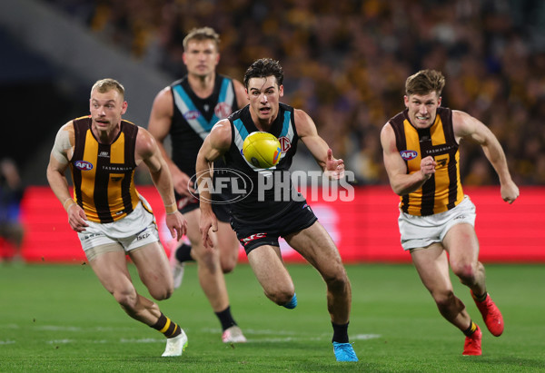 AFL 2024 Second Semi Final - Port Adelaide v Hawthorn - A-54003414