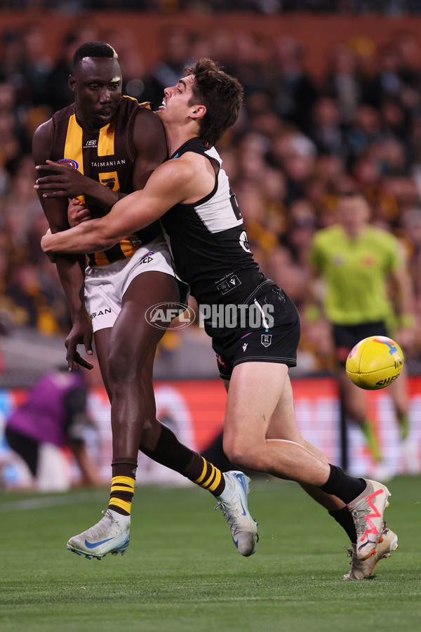 AFL 2024 Second Semi Final - Port Adelaide v Hawthorn - A-54003418