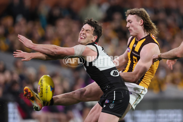 AFL Second Semi Final - Port Adelaide v Hawthorn - A-54003442