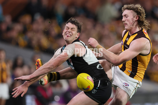 AFL Second Semi Final - Port Adelaide v Hawthorn - A-54003445