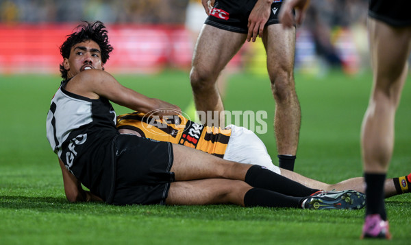 AFL 2024 Second Semi Final - Port Adelaide v Hawthorn - A-54003479