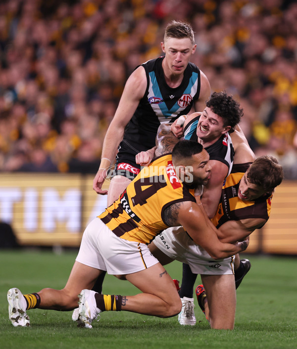 AFL 2024 Second Semi Final - Port Adelaide v Hawthorn - A-54004095