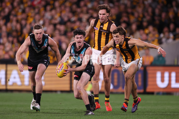 AFL 2024 Second Semi Final - Port Adelaide v Hawthorn - A-54004100