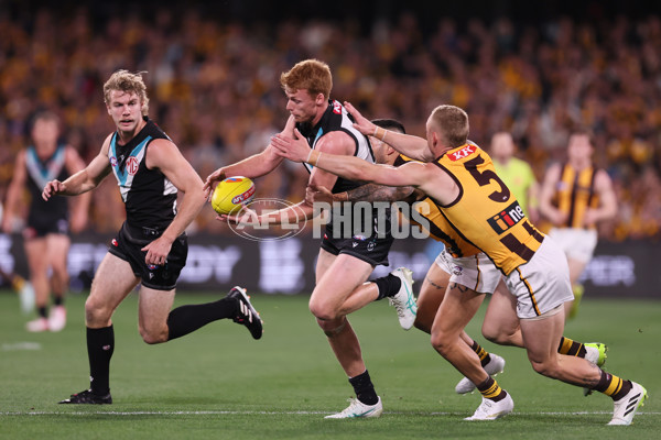 AFL 2024 Second Semi Final - Port Adelaide v Hawthorn - A-54004107