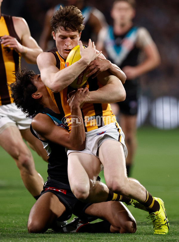 AFL 2024 Second Semi Final - Port Adelaide v Hawthorn - A-54004131