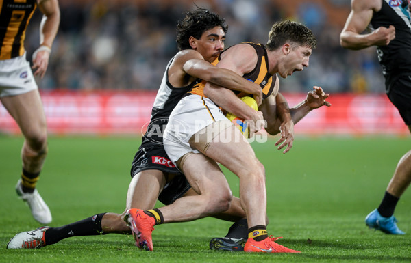 AFL 2024 Second Semi Final - Port Adelaide v Hawthorn - A-54004161