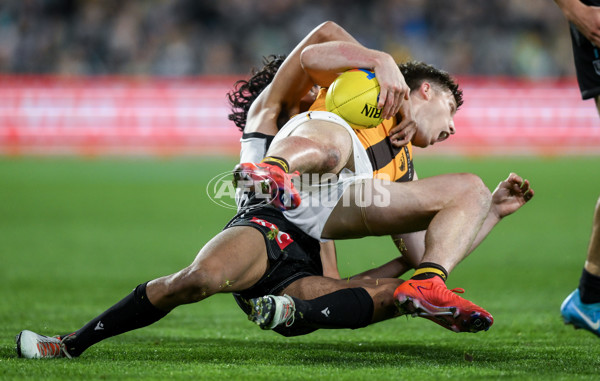 AFL 2024 Second Semi Final - Port Adelaide v Hawthorn - A-54004164