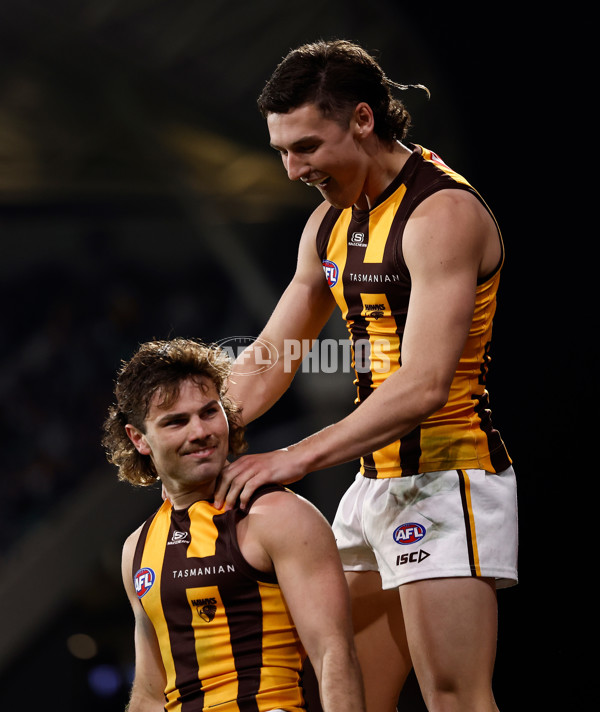 AFL 2024 Second Semi Final - Port Adelaide v Hawthorn - A-54004171